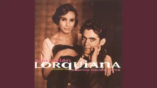 nocturnos de la ventana