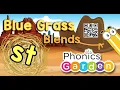 ST Blue Grass Blends Phonics Garden