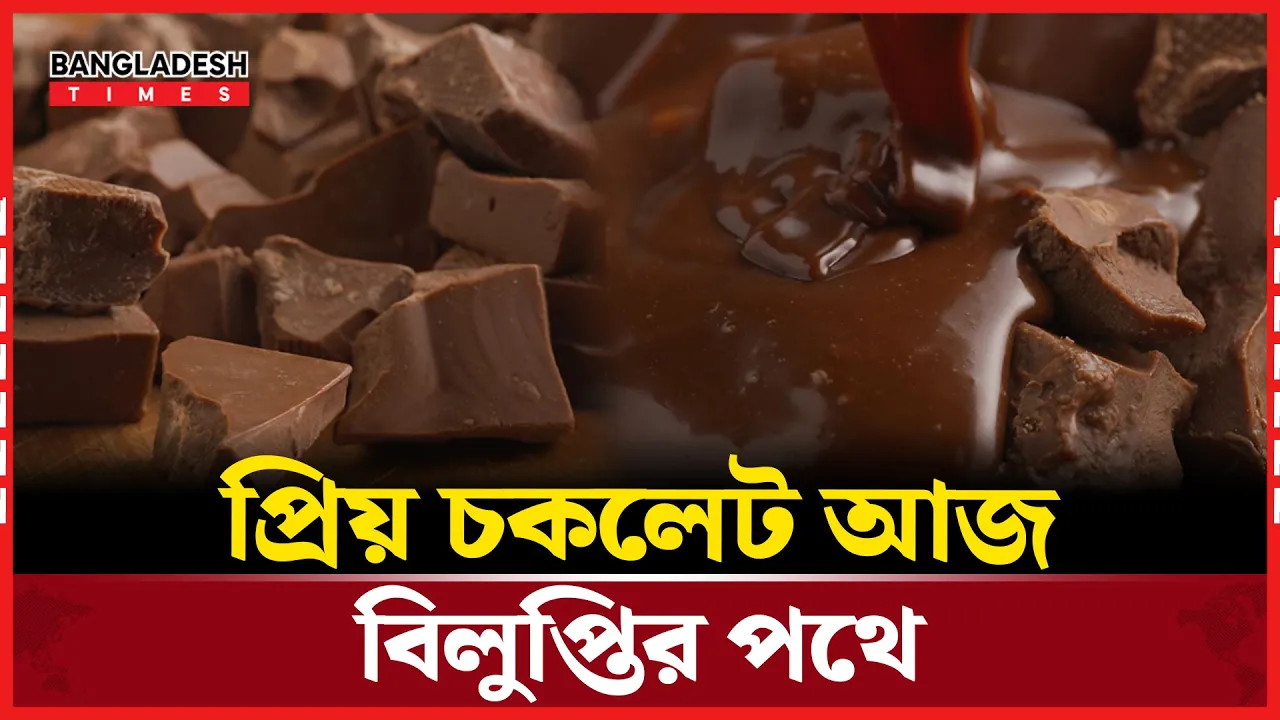 চকলেট প্রেমীদের জন্য দুঃসংবাদ!