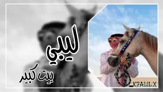 إستگنان ليبي   م طل ووب      كبير بناسه      دندنها