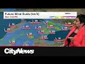 Storms expected on Tuesday night