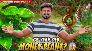 மாடித்தோட்டம்  TOUR PART-1 | SUMMER UPDATE AFTER A LONG TIME | புதுவரவுகள் |