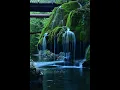 Calmo Tranquilo relaxed Trabalhando Dormir sleepMeditate Concentrate Calm Soothe relax relaxing work