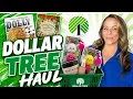 DOLLAR TREE HAUL NEW AMAZING BRAND NAME FINDS