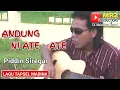 Download Lagu ANDUNG NI ATE ATE - Lagu Tapsel - PIDDIN SIREGAR