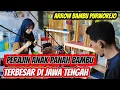 Download Lagu Perajin Anak Panah Bambu Terbesar di Jawa Tengah || Arrow Bambu Purworejo