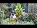 Download Lagu The Garden Has Grown Like Crazy, Garden Tour || Visit Our Garden