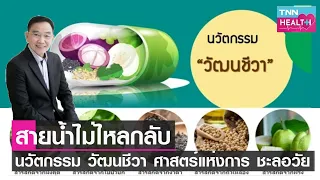  การย้อนเวลาให้กลับมาใหม่ด้วยการยืดอายุเทโลเมียร์มีความเสี่ยงต่อการเกิดมะเร็งหรือไม่