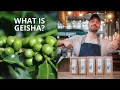 Download Lagu What Is Geisha? | The Goddess of All Coffees