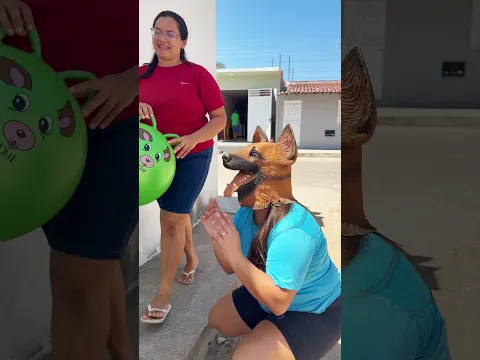 Cachorro disfarçado #viralvideo