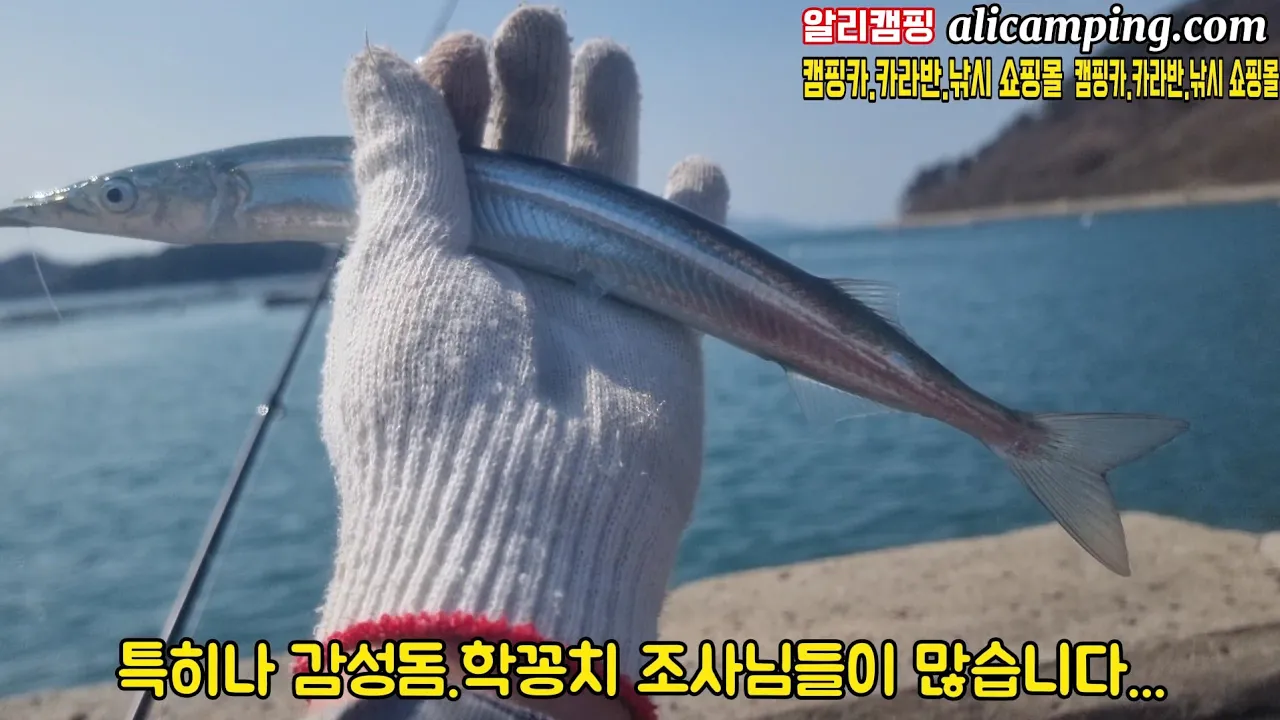관련 영상 썸네일