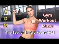 Lagu EDM | Electro House 2025 | Gym Workout Music | Rhythm Rampage