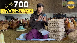 270 000 earn from 700 desi chicken in pakistan desi poultry farming start poultry business plan