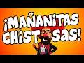 CUIDADO Estas MANANITAS CHISTOSAS Te Haran Reir