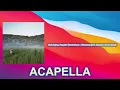Zach Bryan, Turnpike Troubadours - Plainsman (feat. Turnpike Troubadours) (ACAPELLA) Vocals Only
