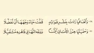 شرح الشاطبية بيتين بيتين شرح البيتين 69 70 