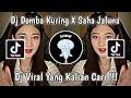 Download Lagu DJ DOMBA KURING X SAHA JALUNA VIRAL TIK TOK TERBARU 2023 YANG KALIAN CARI !