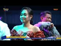 Download Lagu Nurma Paejah - SEPIRING BERDUA || OM ADELLA