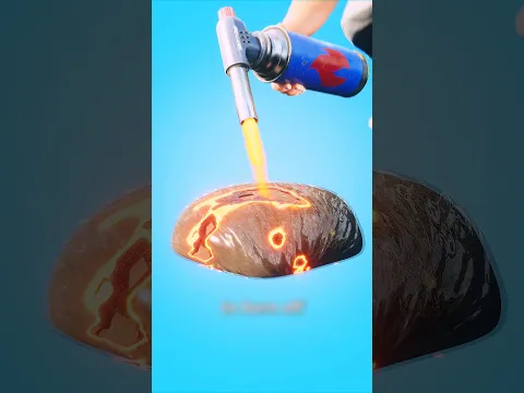 #bts