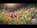The Last Light of Sunset Soothing Sleep Music for Deep Relaxation