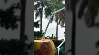 هود يأهل الهود يا لدين العود جيتكم مشتاق من برور عمان 