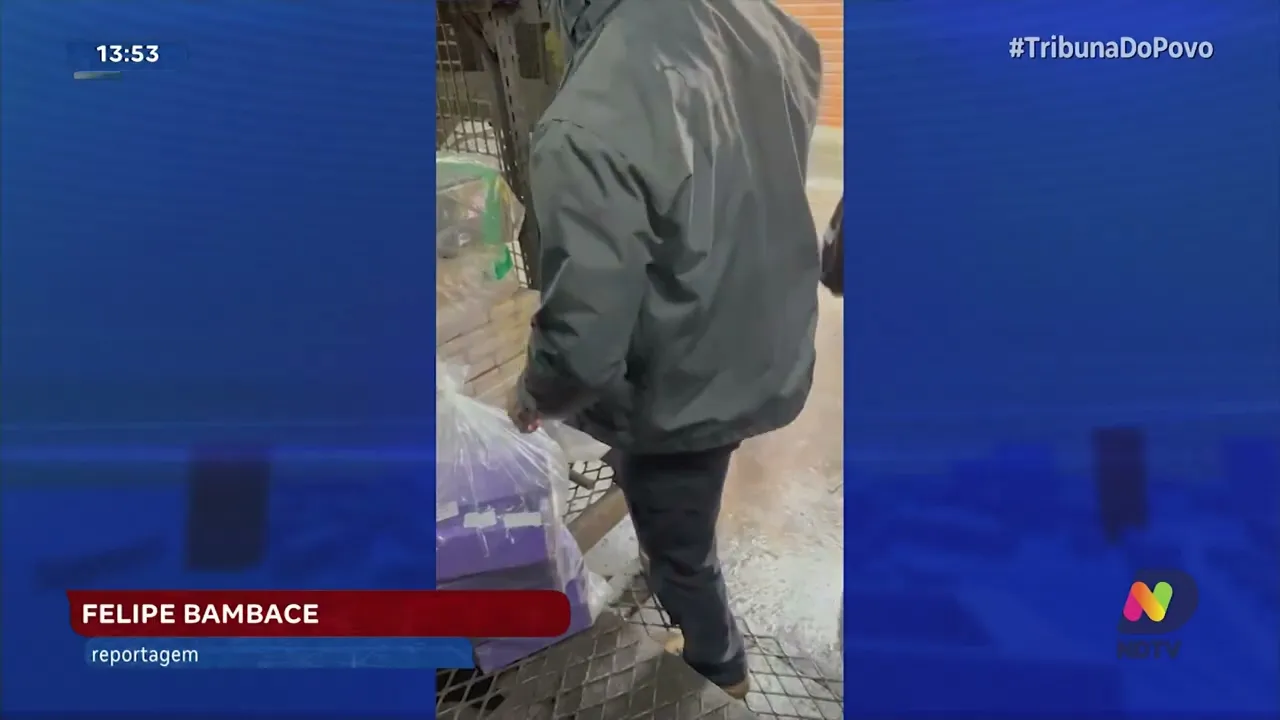 Polícia Civil de Joinville incinera duas toneladas de drogas apreendidas