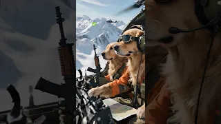 NON Metto La Zampa E Mangio Dog Dogs DogFood Dogvideo Dogvideos 