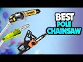 The 6 Best Pole Chainsaws of 2026 Best Pole Chainsaws for Homeowners - Cut High Branches Safely