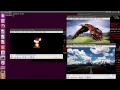 Multicast Machine Floodligth module
