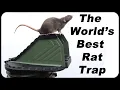 Why You Need The World s Best RAT Trap - The VULCAN Rodent Trap Is Here How To Catch Rats