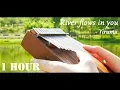 Download Lagu River Flows In You, Yiruma 이루마 - 1 Hour Relaxing Kalimba 칼림바