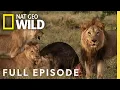 Download Lagu Mother of Lions (Full Episode) | Savage Kingdom