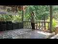 Download Lagu Lagu Bukit Berbunga,,bersama Ninik Jatisarono Nanggulan
