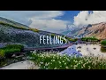 feelings