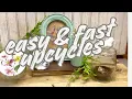 Easy fast upcycles for your Spring decor