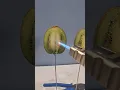 Powerful Lighter vs Kiwi Slice