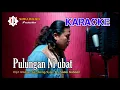 Download Lagu PULUNGAN NI UBAT || Cipt. Madsen Sembiring || Musik KARAOKE Kualitas [HD] || Lagu Batak Populer