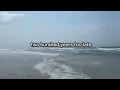 Jimmy Buffett - A Pirate Looks at Forty - Lyrical Video