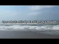 Download Lagu Jimmy Buffett - A Pirate Looks at Forty - Lyrical Video