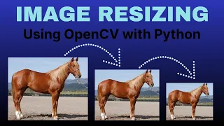 Image Resizing Using OpenCV Python Image Processing