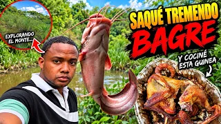 Pesqué un BAGRE GIGANTE y cociné una guinea al fuego