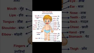 Parts of the Body-Hindi through English