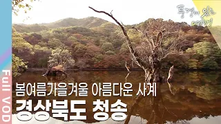 [풍경이있는여행] 영화 봄 여름 가을 겨울 그리고 봄의 촬영지로 유명해진 주산지와 기암괴석으로 장관을 이루는 주왕산을 품고 있는 푸른 땅 경상북도 청송 | KBS 111105 방송 썸네일