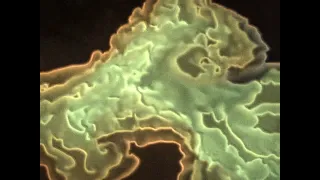                  دندنها