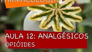 Curso de Farmacologia: Aula 12 - Analgésicos opióides - Vias nociceptivas