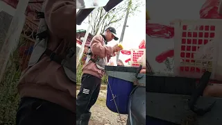 borong 40 kantong tahu tempe jualan keliling fyp youtubeshorts youtuber shorts videos