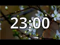 23 Minutes Timer with Relaxing Music Cherry Blossom Timer