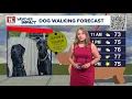 Dog walking forecast More hit-and-miss morning showers overall green paw day Good Day on WTOL 11