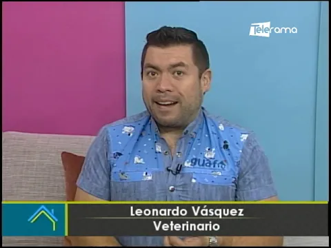 Cuidados oftalmológicos de las mascotas