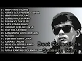 Download Lagu Full Album Saleem Iklim Best Rock Of Malaysian